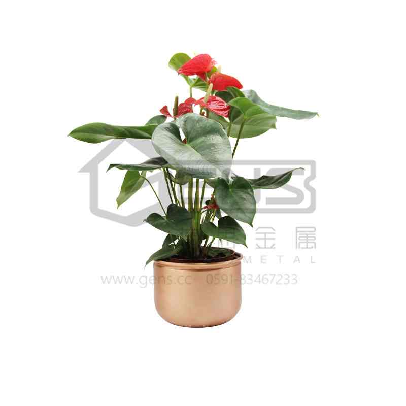 铜花盆 GHECFP01016